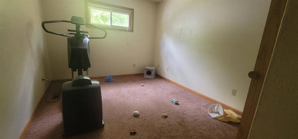 Need a female roommate by campus