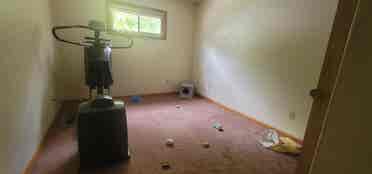 Need a female roommate by campus