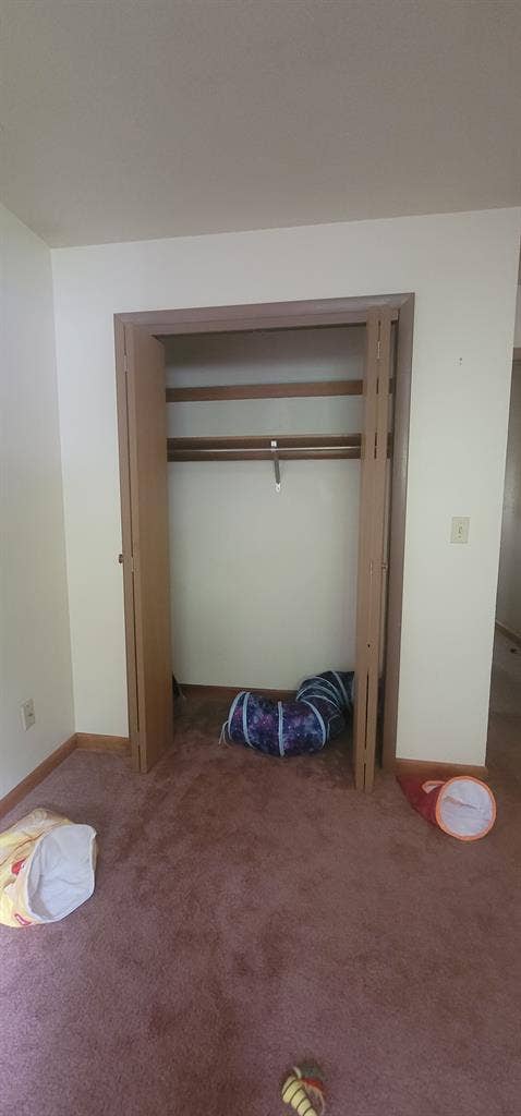 Need a female roommate by campus