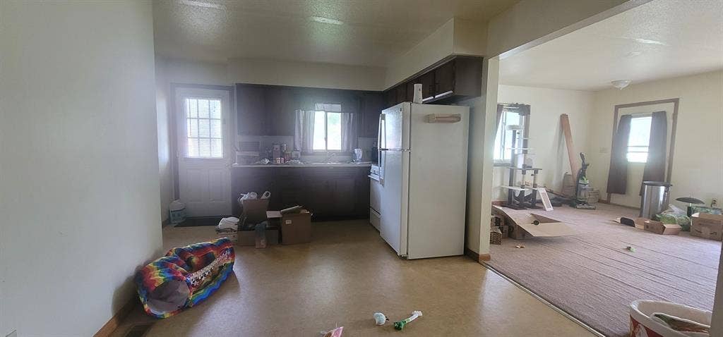 Need a female roommate by campus