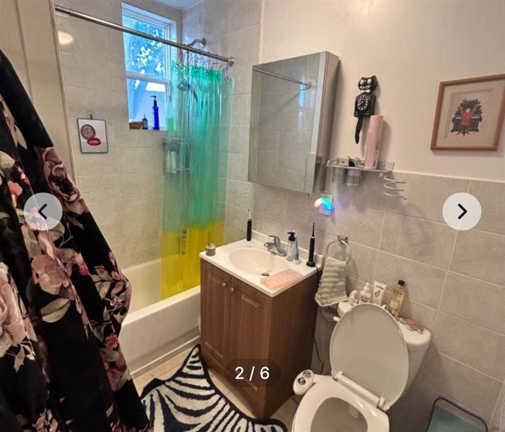 Summer Sublet in Greenpoint