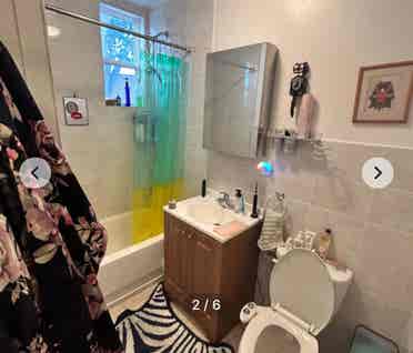 Summer Sublet in Greenpoint