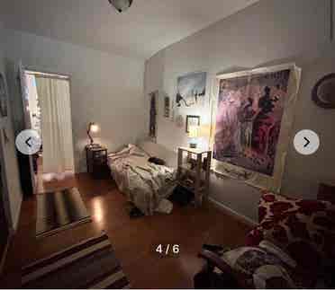 Summer Sublet in Greenpoint