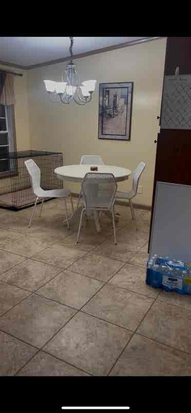 1 rm available females preferred