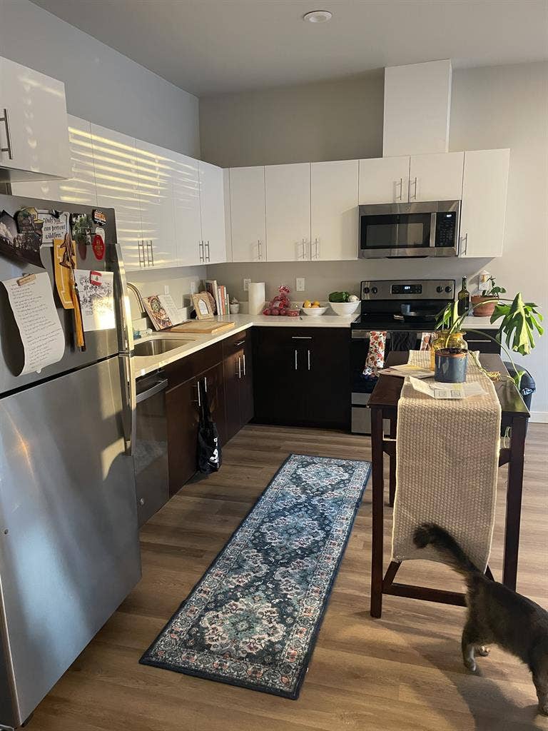 New Listing