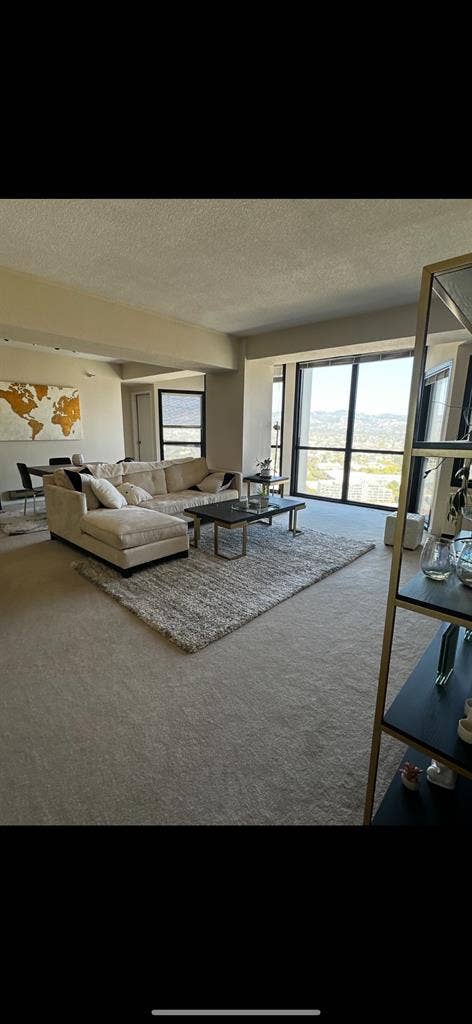 2 bedroom
pent house apartment