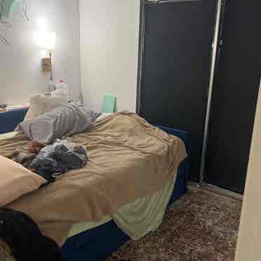 Room for Rent!