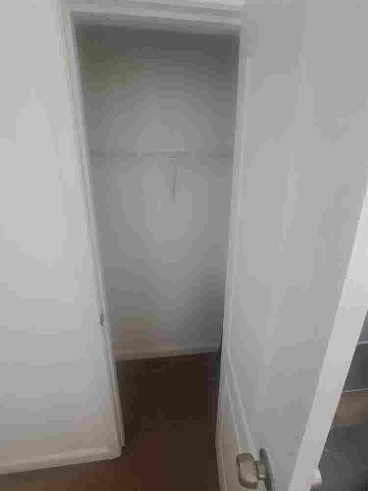 Seeking a new roommate