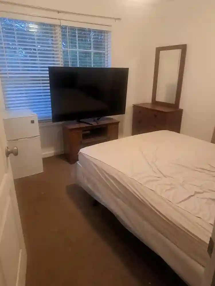 Seeking a new roommate