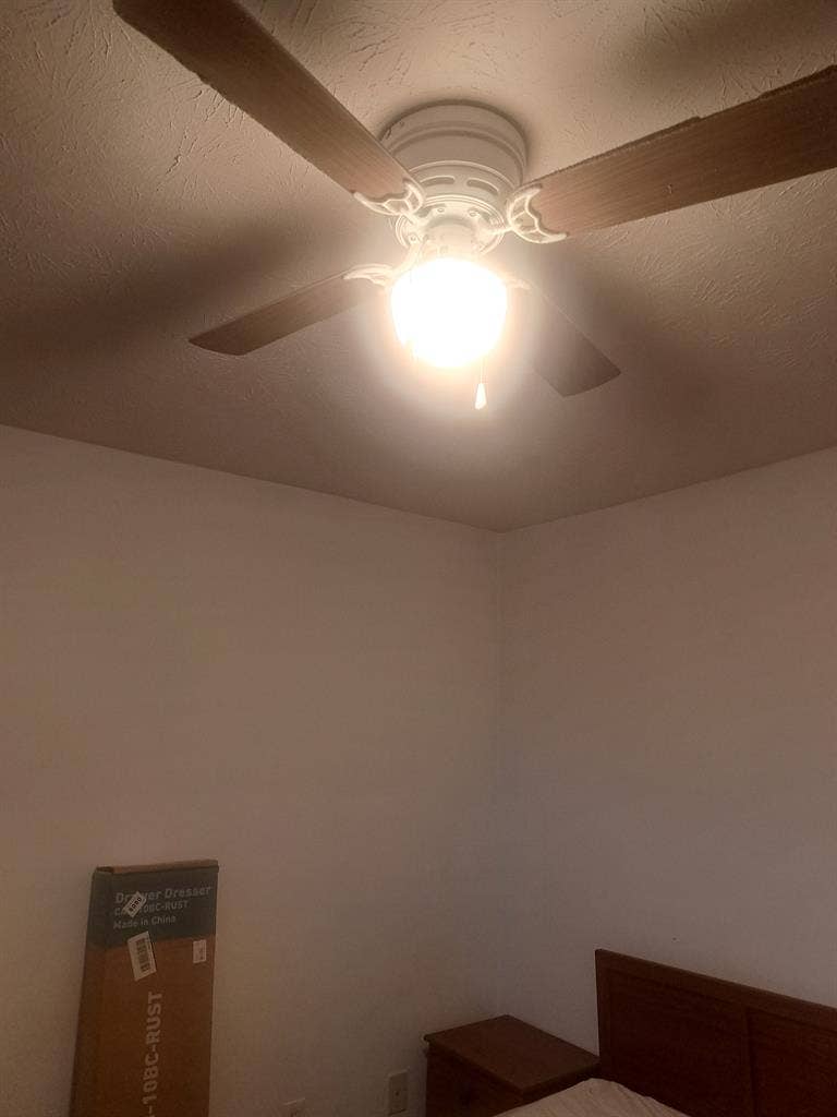 Seeking a new roommate