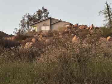 We heart Animals! Rooms/Space land