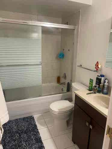Ensuite in Heart of Kits - June 1