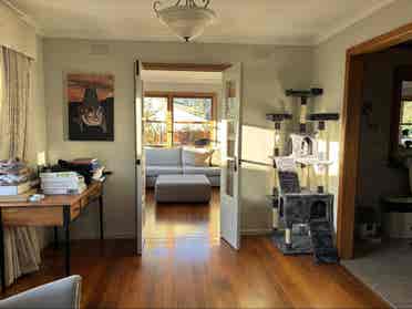 Female Roommate Wanted - Chelsea
