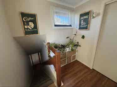 Female Roommate Wanted - Chelsea