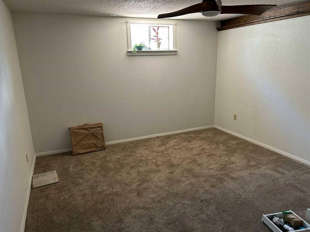 Summer Sublet Available
