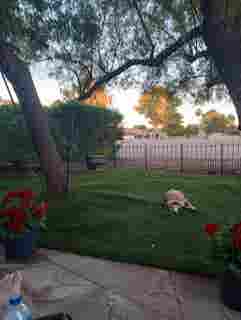 Pvt, quiet BR/BA on AZ Golf Resort