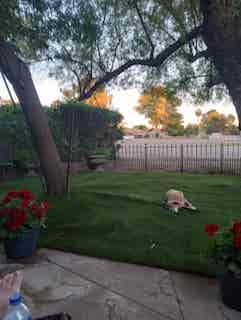 Pvt, quiet BR/BA on AZ Golf Resort