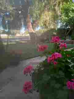 Pvt, quiet BR/BA on AZ Golf Resort