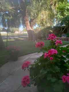 Pvt, quiet BR/BA on AZ Golf Resort