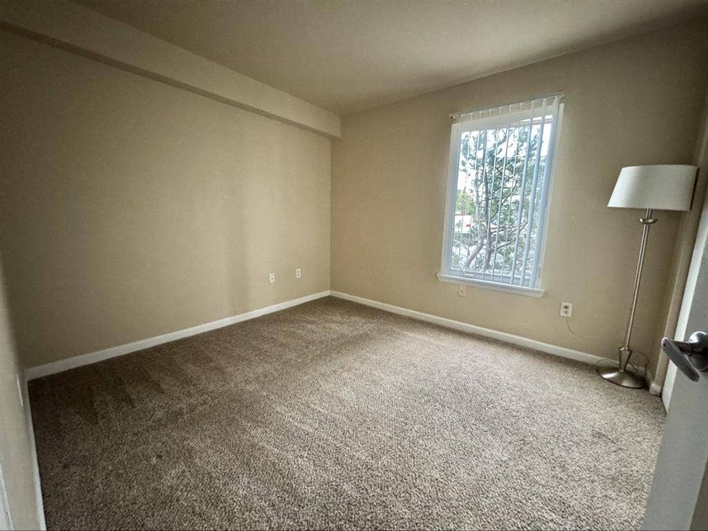 Roommate needed A.S.A.P!