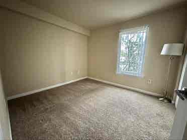 Roommate needed A.S.A.P!