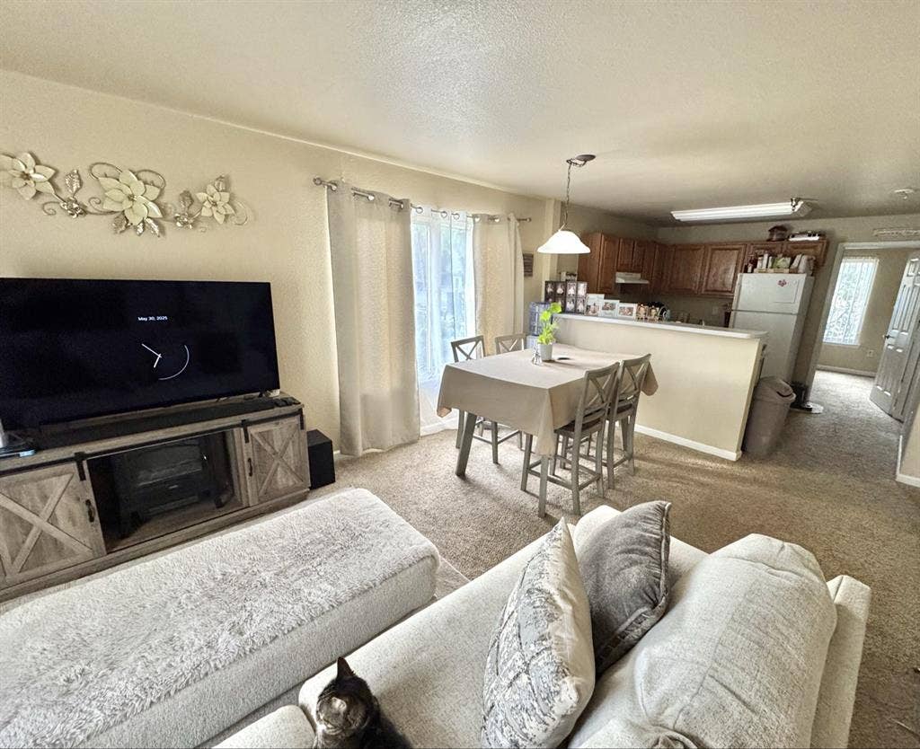 Roommate needed A.S.A.P!