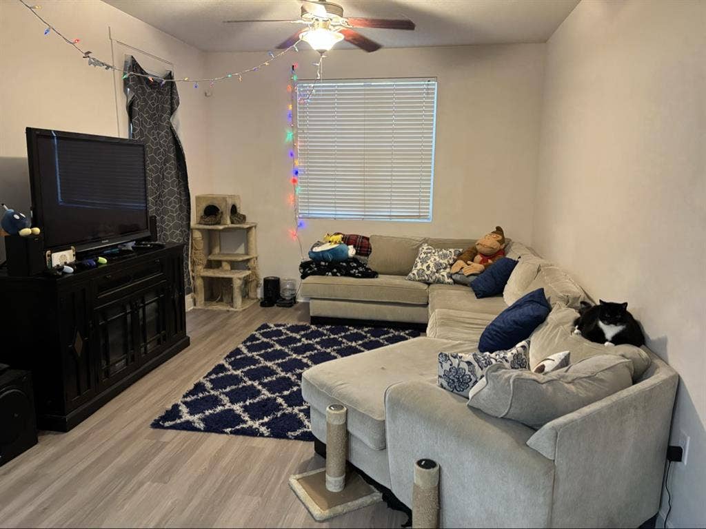 Seeking a friendly chill roommate.