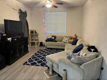 Seeking a friendly chill roommate.