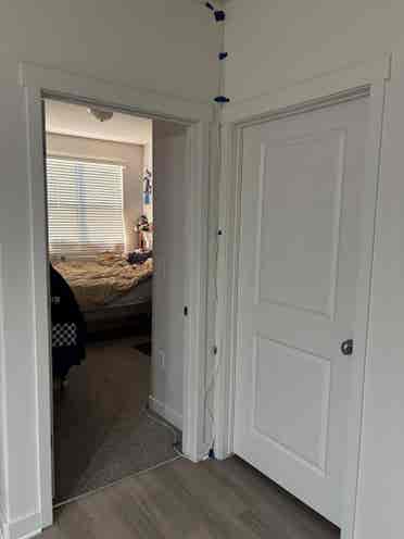 Seeking a friendly chill roommate.