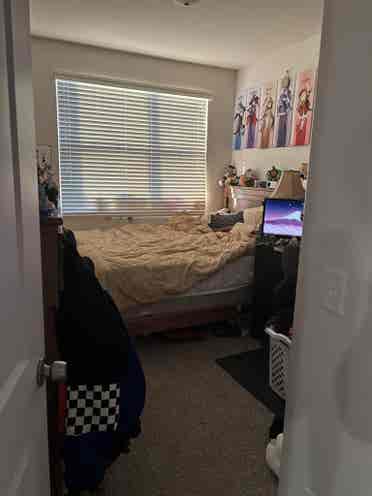 Seeking a friendly chill roommate.