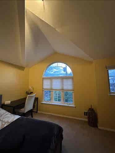 Rooms available for rent