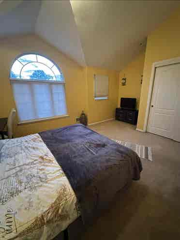 Rooms available for rent