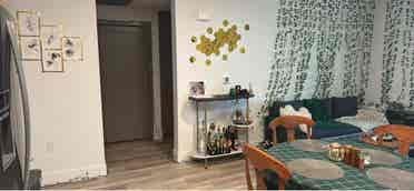 Roommate for second room B