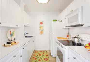 Downtown 1BR Sublet - June