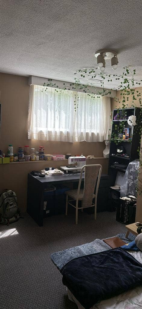 LGBTQ friendly roommate !