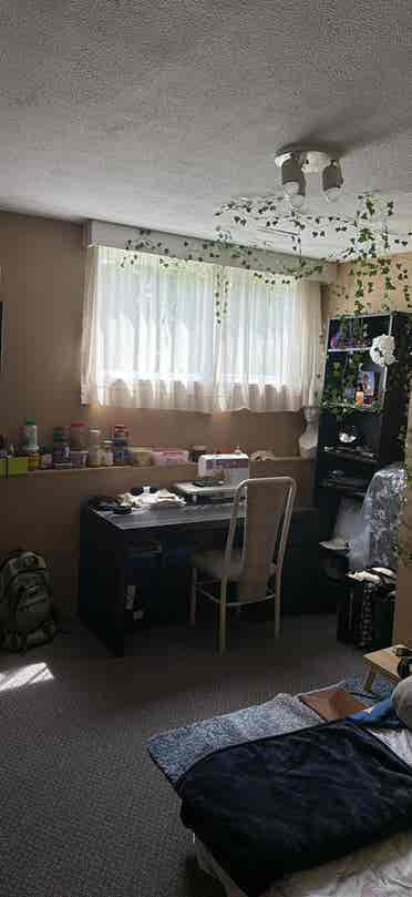 LGBTQ friendly roommate !
