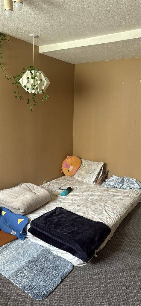 LGBTQ friendly roommate !