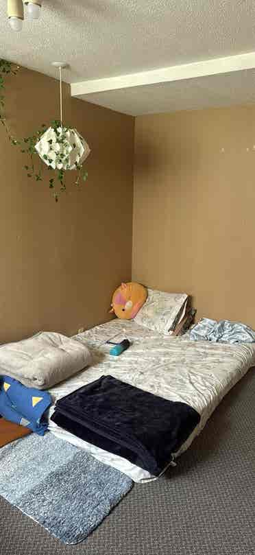 LGBTQ friendly roommate !