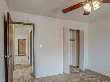 Roommate needed asap