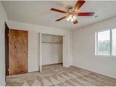 Roommate needed asap