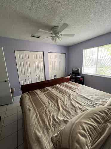 Looking for a roomie!
