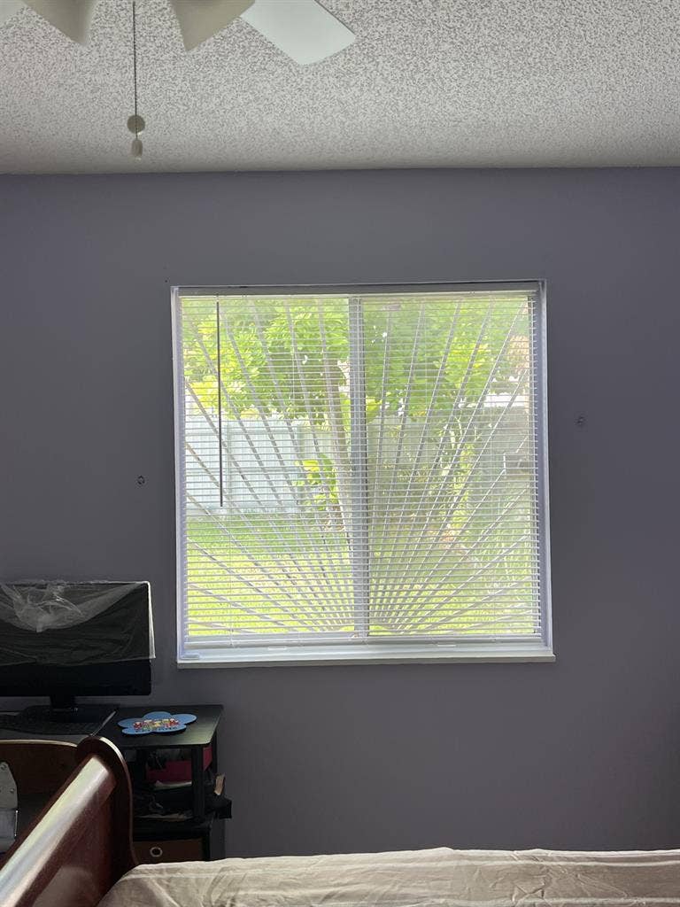 Looking for a roomie!