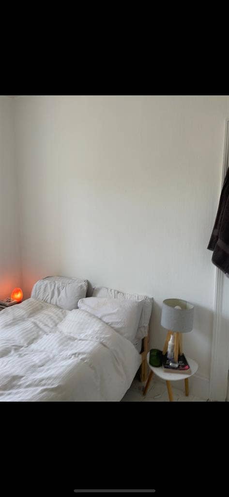Female roommate wanted