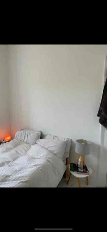 Female roommate wanted