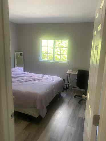 Looking for Roommate