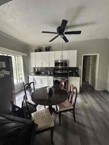 Looking for Roommate