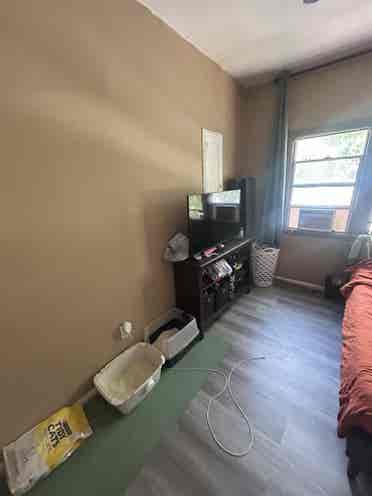 Looking for Roommate