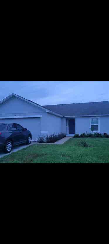 Roommate wanted