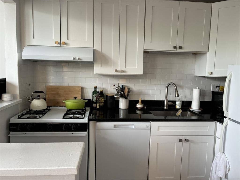Looking for Lincoln Park roommate