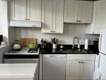 Looking for Lincoln Park roommate